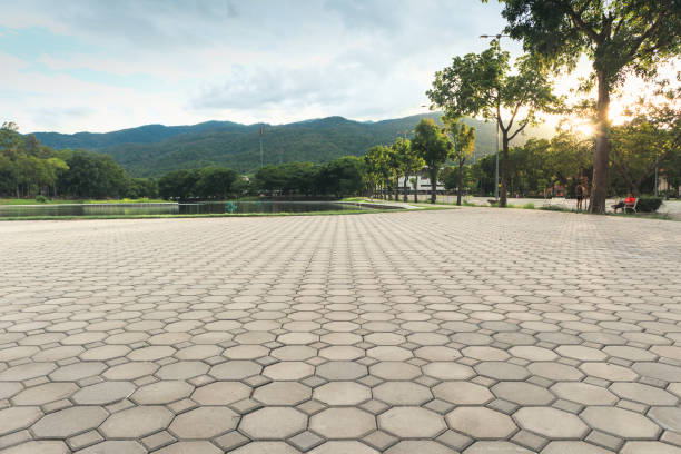 Best Interlocking Driveway Pavers  in Pine Grove, CA