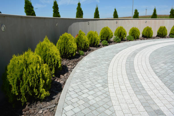 Trusted Pine Grove, CA Driveway Pavers Experts